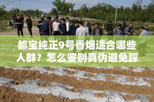 都宝纯正9号香烟适合哪些人群？怎么鉴别真伪避免踩坑？